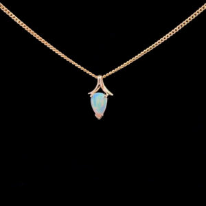 113421 nef62f954j 2025 04 07 12 09 39